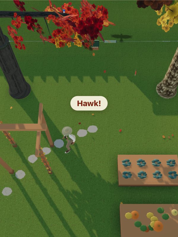 Looking down on the yard: a hawk's shadow crosses the lawn and the birder walks her path
